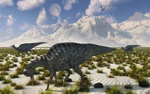 A herd of Velafrons hadrosaurid dinosaurs during the Cretaceous Period Poster Print - Item # VARPSTMAS100924P
