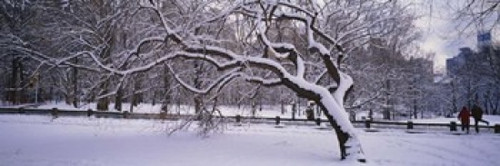 http://c328301.r1.cf1.rackcdn.com/PPI70245S.jpg