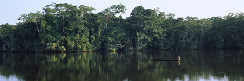 Canoe in a river, Napo River, Oriente, Ecuador Poster Print - Item # VARPPI33764