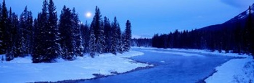 Moon Rising Above The Forest  Banff National Park  Alberta  Canada Poster Print by Panoramic Images (37 x 12) - Item # PPI86710