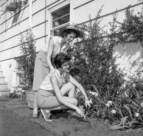 Mother and adult daughter gardening outside house Poster Print - Item # VARSAL255420823