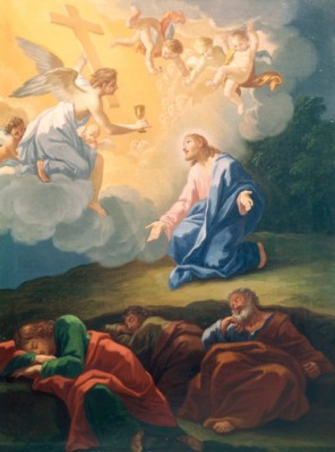 The Agony on the Mount of Olives  Hendrick Krock  Poster Print - Item # VARSAL900108331