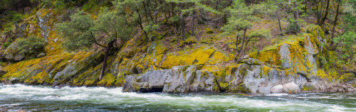 View of the Merced River in Yosemite National Park, California, USA Poster Print - Item # VARPPI167561