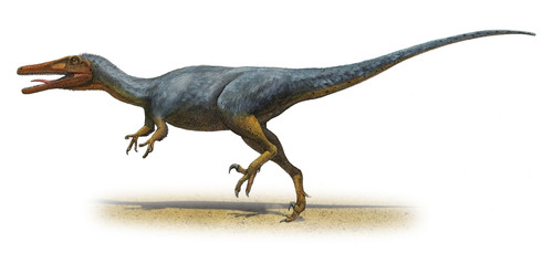 Austroraptor cabazai, a prehistoric era dinosaur from the Cretaceous period Poster Print - Item # VARPSTSKR100048P