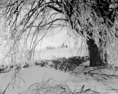 Winter scenic Poster Print - Item # VARSAL255422026