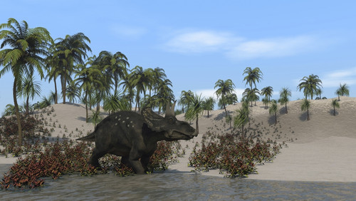 Triceratops walking along the shoreline Poster Print