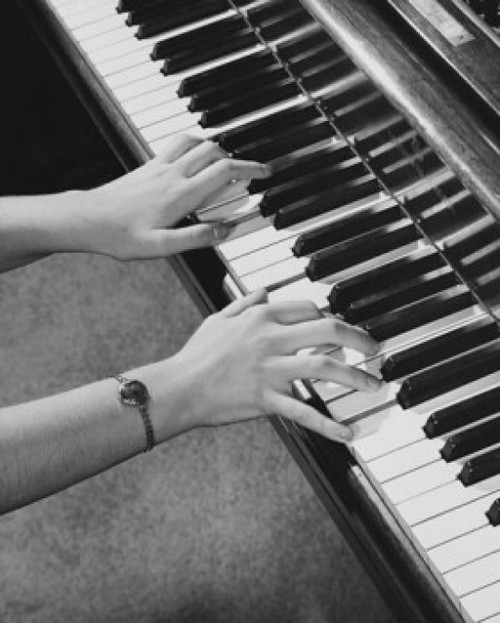High angle view of a person's hands playing the piano Poster Print - Item # VARSAL25527486D