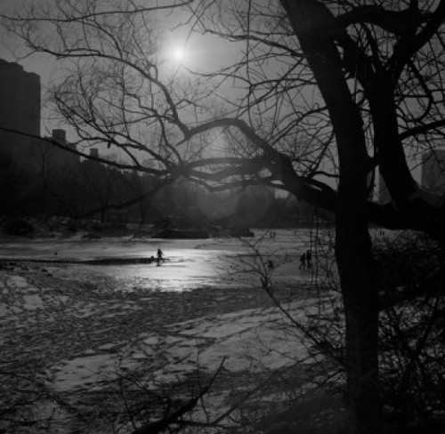 USA  New York City  Manhattan  Winter sunset in Central Park Poster Print - Item # VARSAL255421785