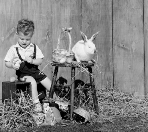 Boy painting easter egg Poster Print - Item # VARSAL2553619