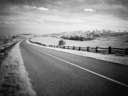 USA  North Carolina  pastures along Blue Ridge Parkway  near Horse Gap  adjacent to Doughton Park. Poster Print - Item # VARSAL255418750