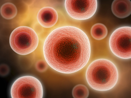 Microscopic view of cell Poster Print - Item # VARPSTSTK701036H