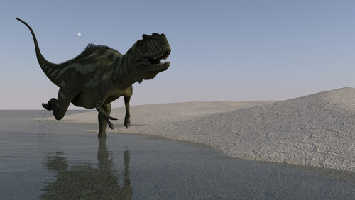 Yangchuanosaurus running along the shore Poster Print
