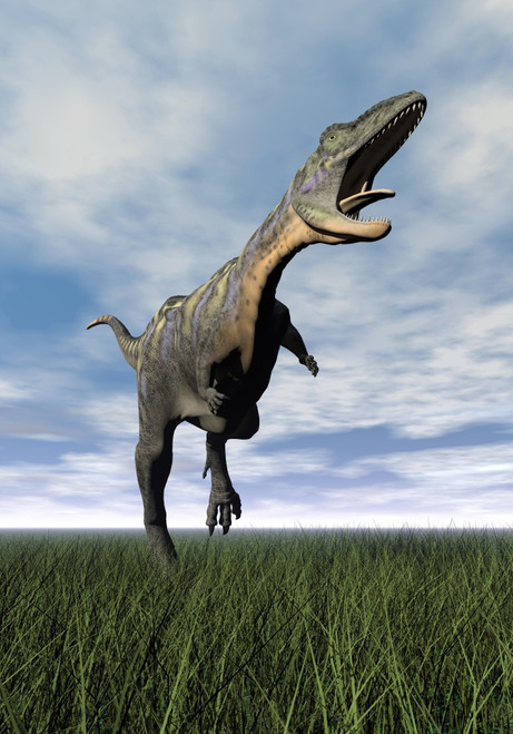 Aucasaurus dinosaur running on the green grass with mouth open Poster Print - Item # VARPSTEDV600099P