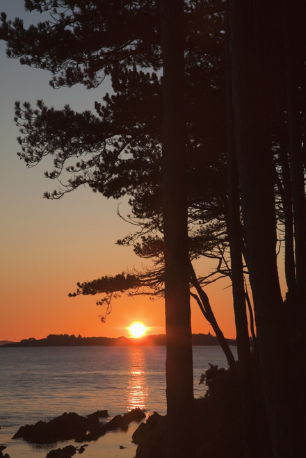 Sunset Over Kenmare Bay Near Blackwater; County Kerry Ireland PosterPrint - Item # VARDPI1936272