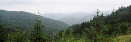 High angle view of mountains in fog, Great Smoky Mountains, North Carolina, USA Poster Print - Item # VARPPI24210