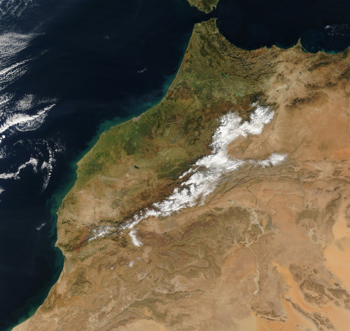 Satellite view of Morocco Poster Print