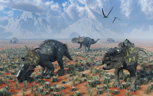 A herd of Pachyrhinosaurus dinosaurs Poster Print - Item # VARPSTMAS600050P