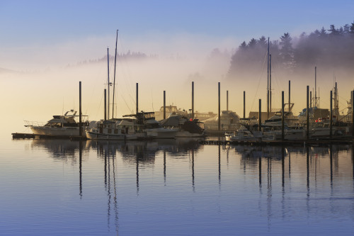Fog lifting over Auke Bay Harbor, Juneau, Southeast Alaska PosterPrint - Item # VARDPI2429774