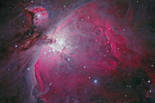 Messier 42, The Orion Nebula Poster Print - Item # VARPSTBBF200003S