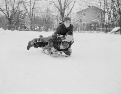 Three boys sledding down on slope Poster Print - Item # VARSAL255421621