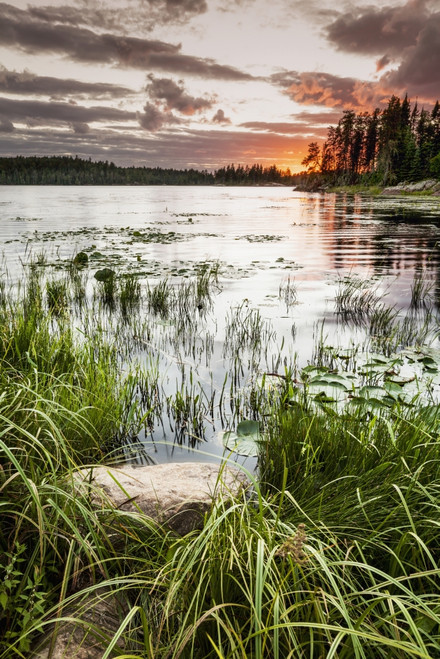 Sunset over a pond; Thunder Bay, Ontario, Canada PosterPrint - Item # VARDPI12301414