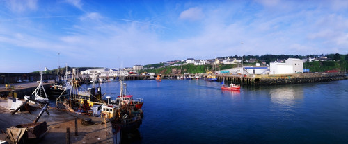 Fishing Harbour, Dunmore East, Ireland PosterPrint - Item # VARDPI1807182