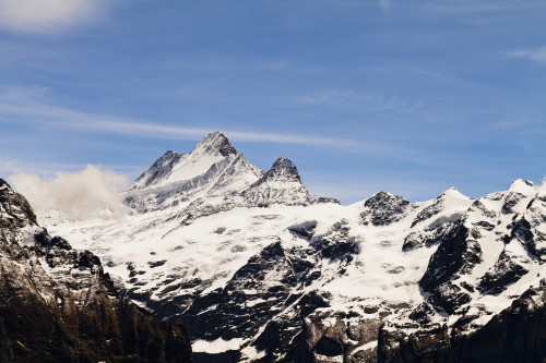 Jungfrau; Grindelwald, Bernese Oberland, Switzerland PosterPrint - Item # VARDPI12254508