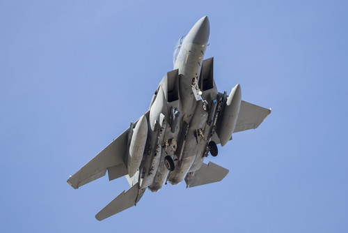 A Royal Saudi Air Force F-15S Strike Eagle comes in to land at Nellis Air Force Base, Nevada Poster Print - Item # VARPSTRDG100107M