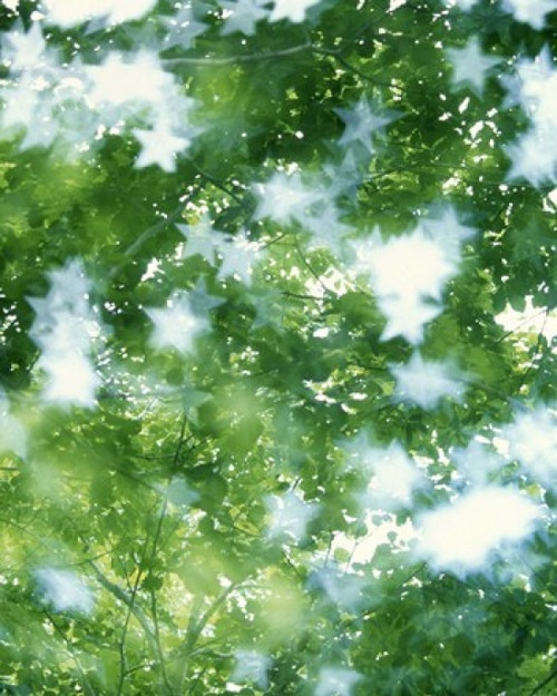 Kaleidoscopic scene with white stars with green and blue Poster Print by Panoramic Images (20 x 24) - Item # PPI117900
