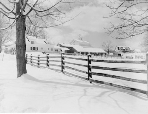 Winter  farm house Poster Print - Item # VARSAL255419483