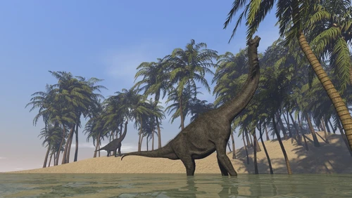 Two large Brachiosaurus grazing along a bay Poster Print - Item # VARPSTKVA600169P