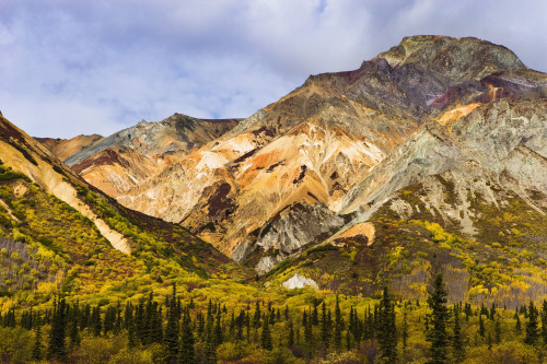 Sheep Mountain Along Glenn Highway, Alaska PosterPrint - Item # VARDPI2046064