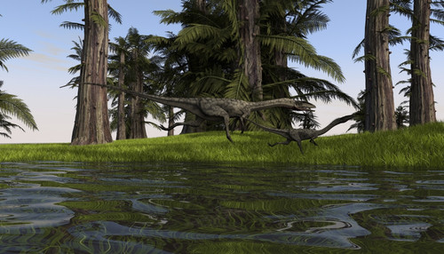 Two Coelophysis dinosaurs running along the edge of swampy water Poster Print - Item # VARPSTKVA600597P