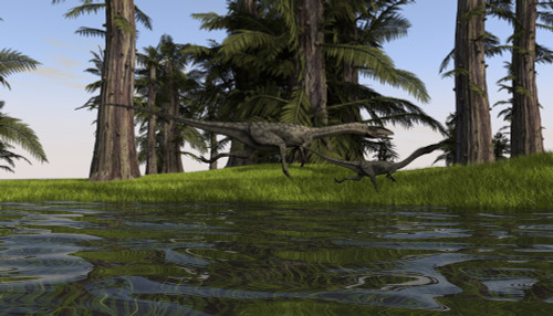 Two Coelophysis dinosaurs running along the edge of swampy water Poster Print - Item # VARPSTKVA600597P