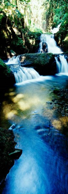 Waterfall in Hilo  HI Poster Print by Panoramic Images (12 x 34) - Item # PPI86735