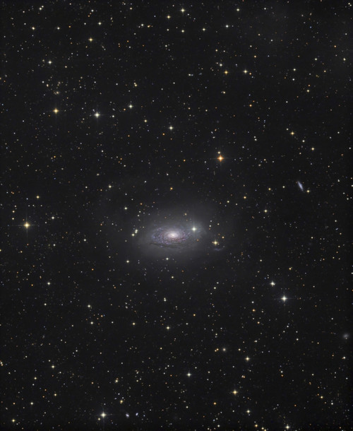 The Sunflower Galaxy Poster Print - Item # VARPSTALV100029S