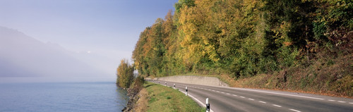 View of road by Lake Brienz, Berne Canton, Switzerland Poster Print - Item # VARPPI54563