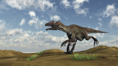 Utahraptor running across a desert Poster Print - Item # VARPSTKVA600683P