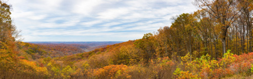 Elevated view of autumn trees, Brown County State Park, Brown County, Indiana, USA Poster Print - Item # VARPPI169261