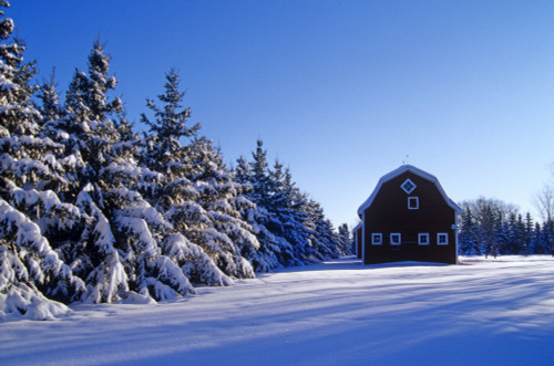 Red Barn In Winter, Near Oakbank, Manitoba PosterPrint - Item # VARDPI2027903
