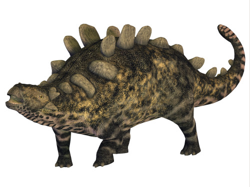 Crichtonsaurus was a heavily armored Ankylosaur that lived in the Cretaceous Period of China Poster Print - Item # VARPSTCFR200536P
