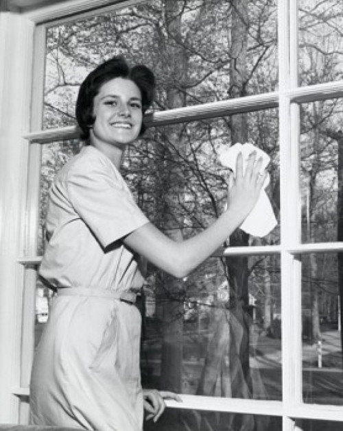 Portrait of a young woman cleaning the glass of a window Poster Print - Item # VARSAL25541929