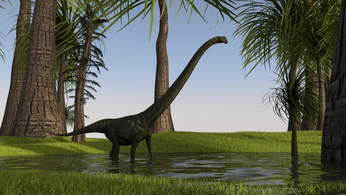 Mamenchisaurus walking through swampy water Poster Print - Item # VARPSTKVA600610P