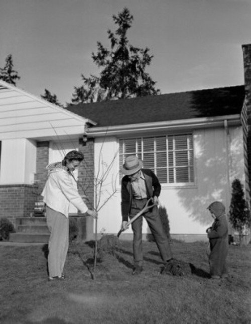 Family planting tree Poster Print - Item # VARSAL255419437