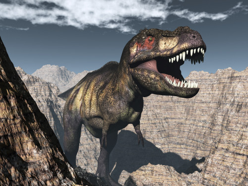 Tyrannosaurus rex roaring in a canyon Poster Print - Item # VARPSTEDV600344P