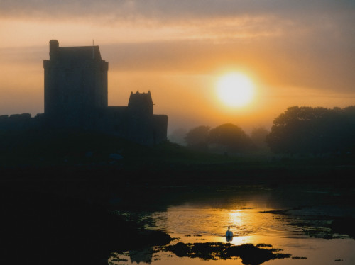 Dunguaire Castle, Kinvara, Co Galway, Ireland; Silhouette Of A 16Th Century Castle At Sunset PosterPrint - Item # VARDPI1828915