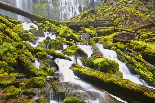 Proxy Falls In Willamette National Forest; Oregon, United States of America PosterPrint - Item # VARDPI1998585