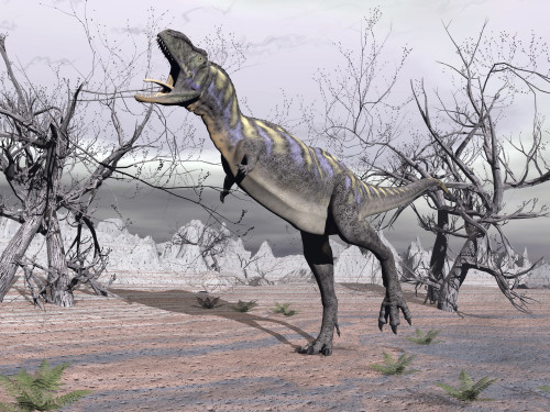 Aucasaurus dinosaur roaring in the desert Poster Print - Item # VARPSTEDV600116P