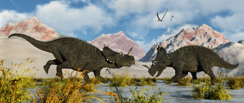 A territorial dispute between a pair of male Centrosaurus dinosaurs during Earth's Cretaceous period of time Poster Print - Item # VARPSTMAS100712P