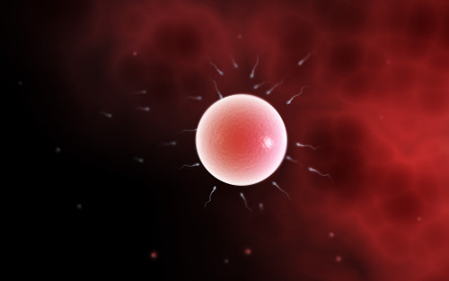 Conceptual image of common fertilization Poster Print - Item # VARPSTSTK700022H